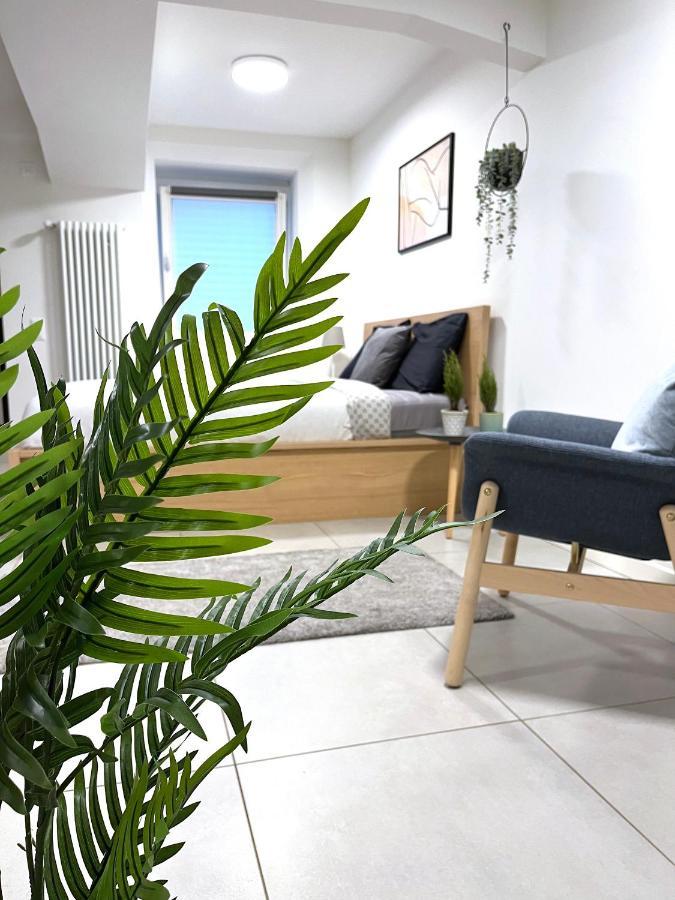 The Hidden Studio; Comfy & Close To The Apartment Lugano